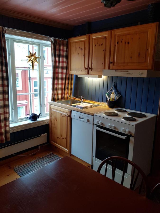 Houmbgaarden Daire Røros Dış mekan fotoğraf